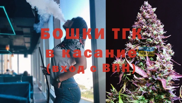твердый Медногорск