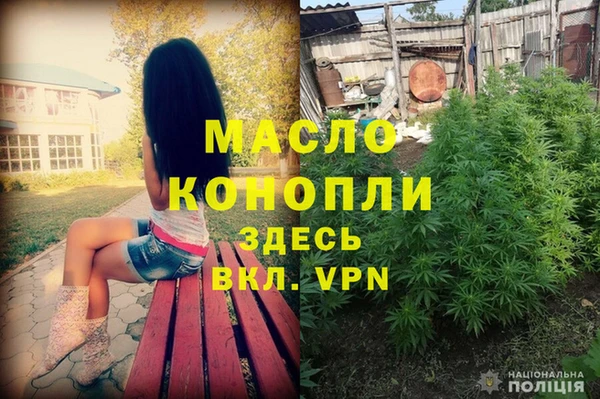 твердый Медногорск