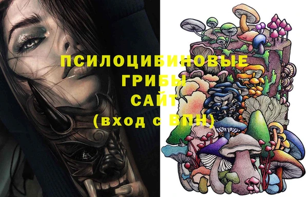 первитин Мегион