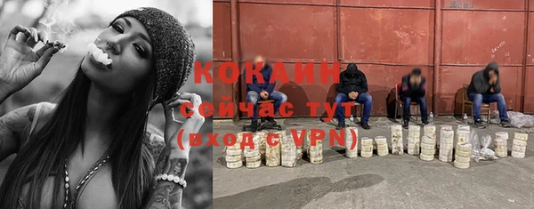ПСИЛОЦИБИНОВЫЕ ГРИБЫ Березники