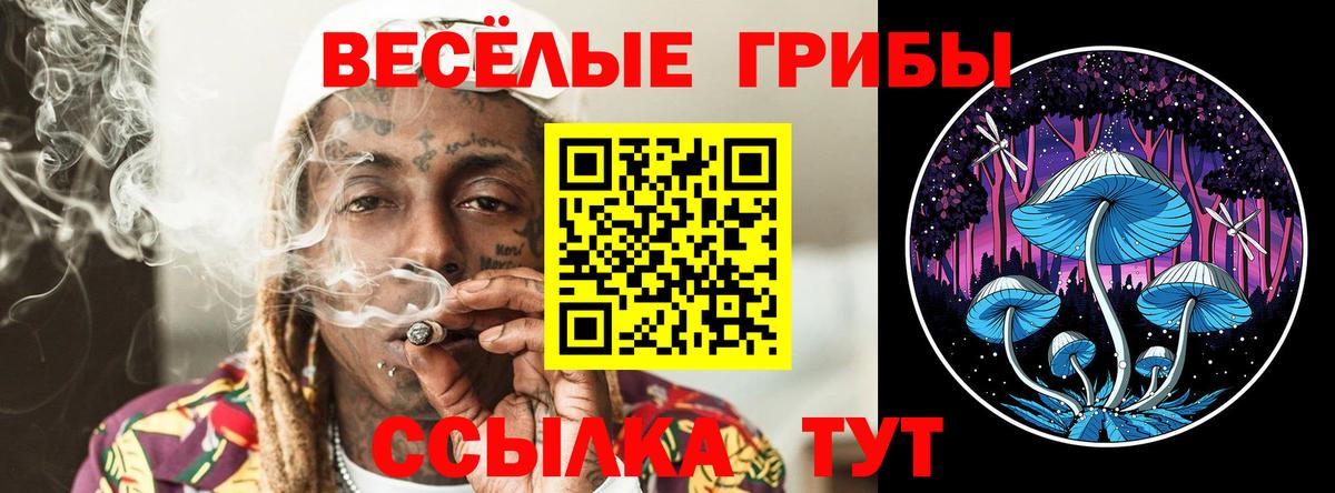 где купить наркотик  Вход с VPN  Балаково  Псилоцибиновые грибы Psilocybine cubensis 